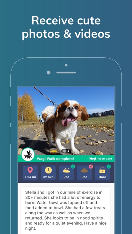 Wag! - Dog Walkers & Sitters screenshot-5