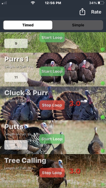 Wild Turkey Calls screenshot-5