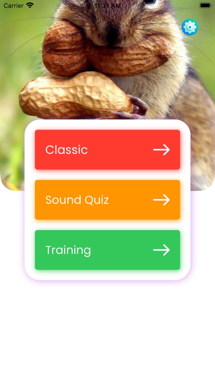 Animal Games : Trivia Sound