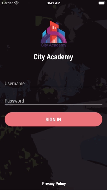 City Academy - Online