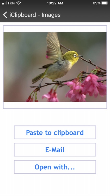 iClipboard - Clipboard manager