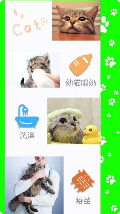 猫孕日记 screenshot 2