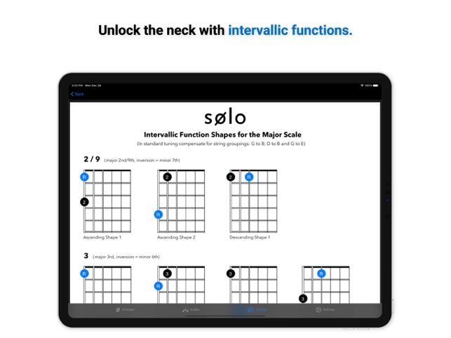 solo fretboard visualization