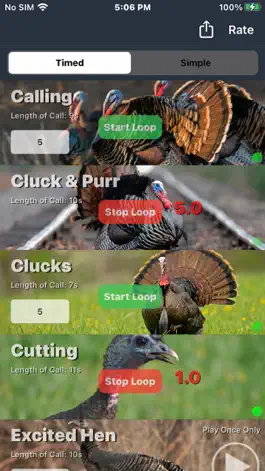 Game screenshot Wild Turkey Calls + mod apk