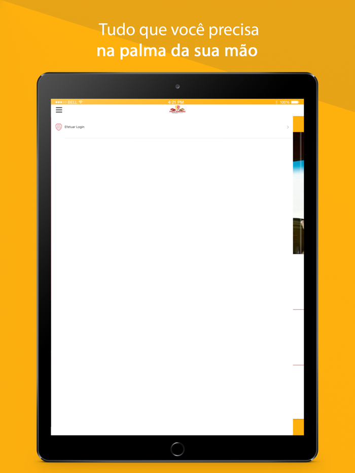 Porto Fernandes Proteção