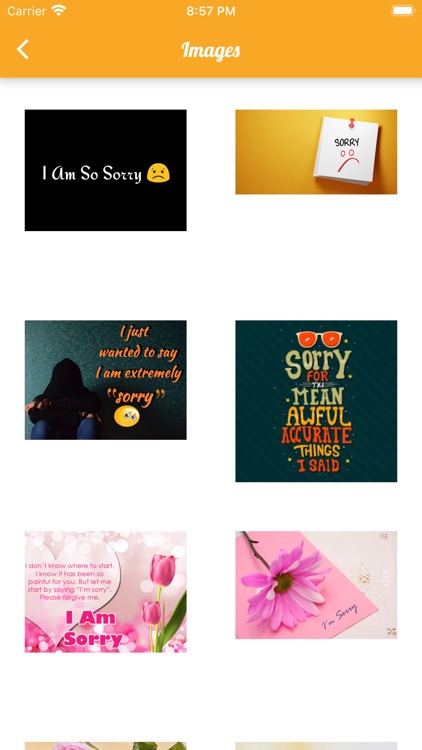 Sorry Forgive Card Status Gifs screenshot-5