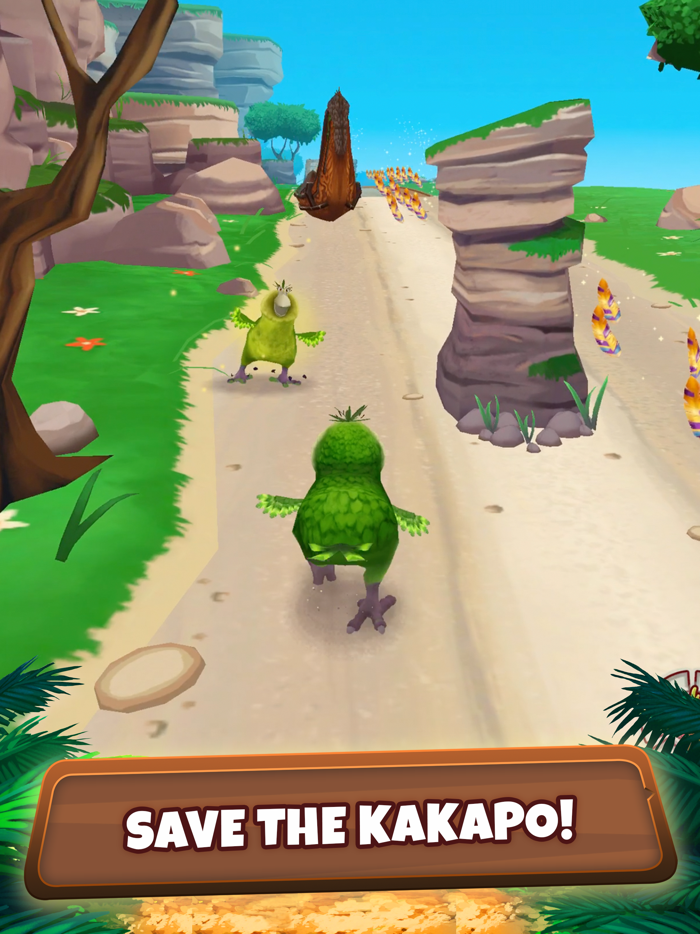 Kakapo Run