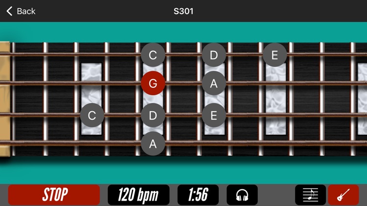 Bass Gym with MarloweDK screenshot-4