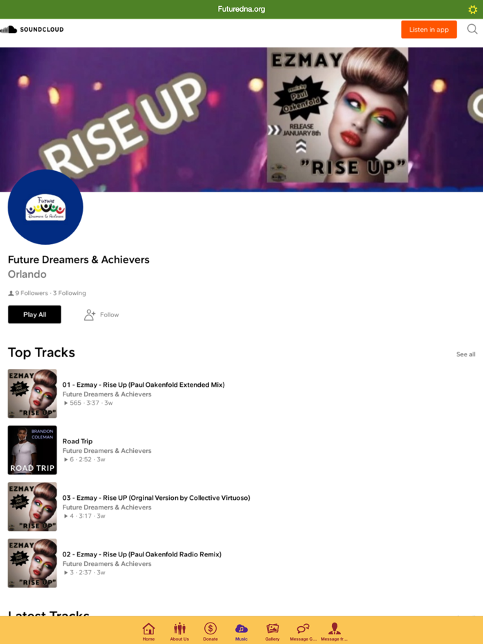 Future Dreamers  Achievers