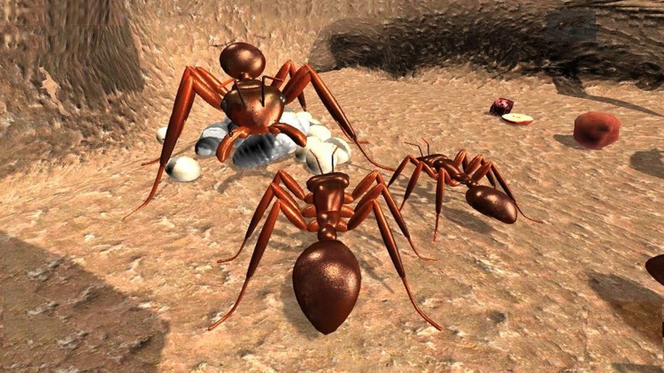 Ant simulator survival screenshot-3