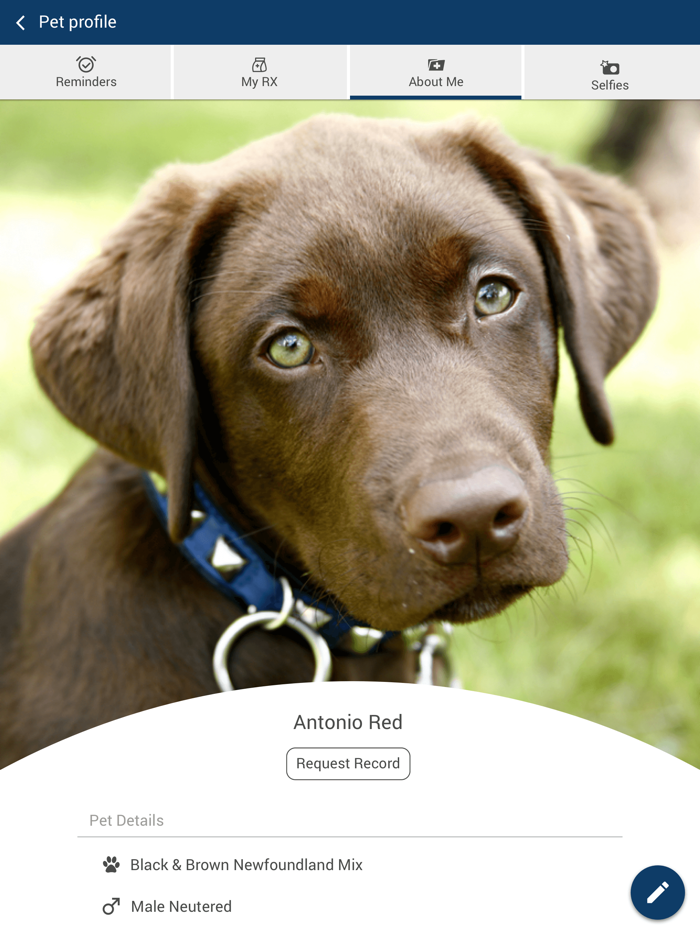 Randall Veterinary Hospital