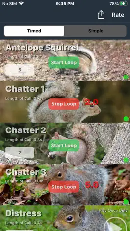 Game screenshot Squirrel Calls for Hunting mod apk