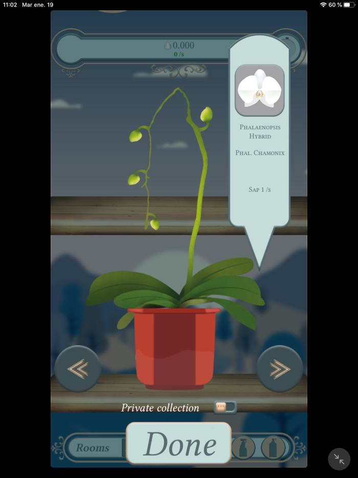 The Black Orchid - Idle Garden