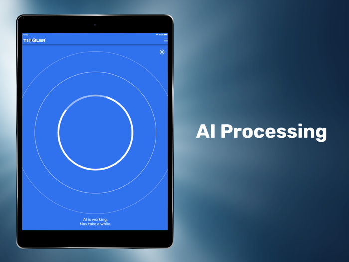 TIQQLER. Remove License Plates