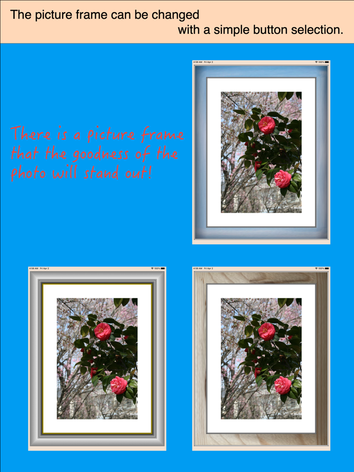 in the picture frame