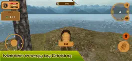 Game screenshot Wild Lion Simulator Attack 3D hack