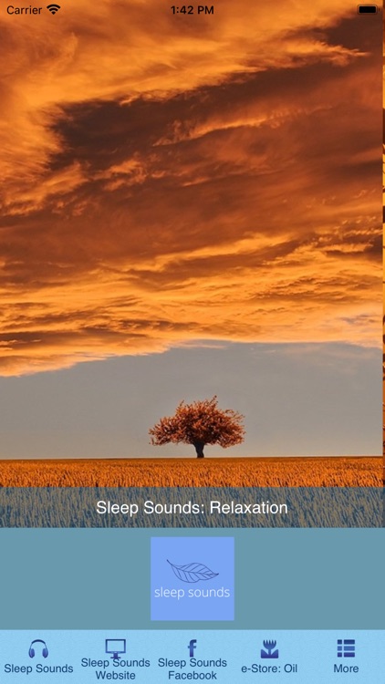 Relaxation Sleep