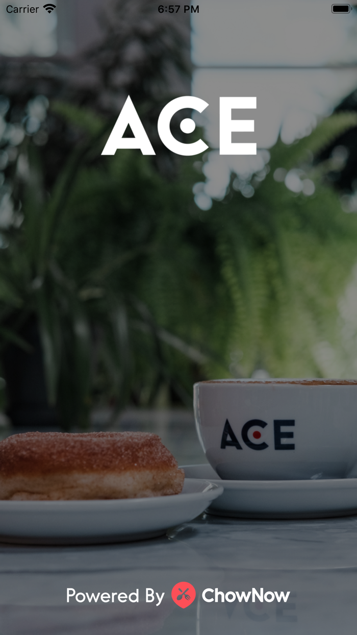 ACE Coffee Roasters