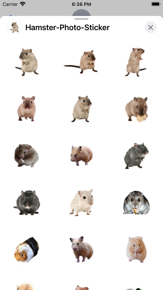 【图】Hamster Photo Sticker(截图3)