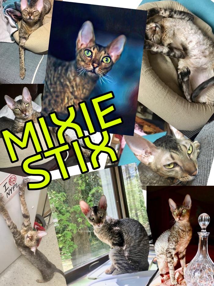 Mixie Stix