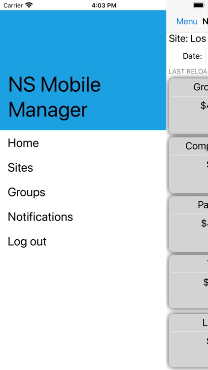 NS Mobile Manager