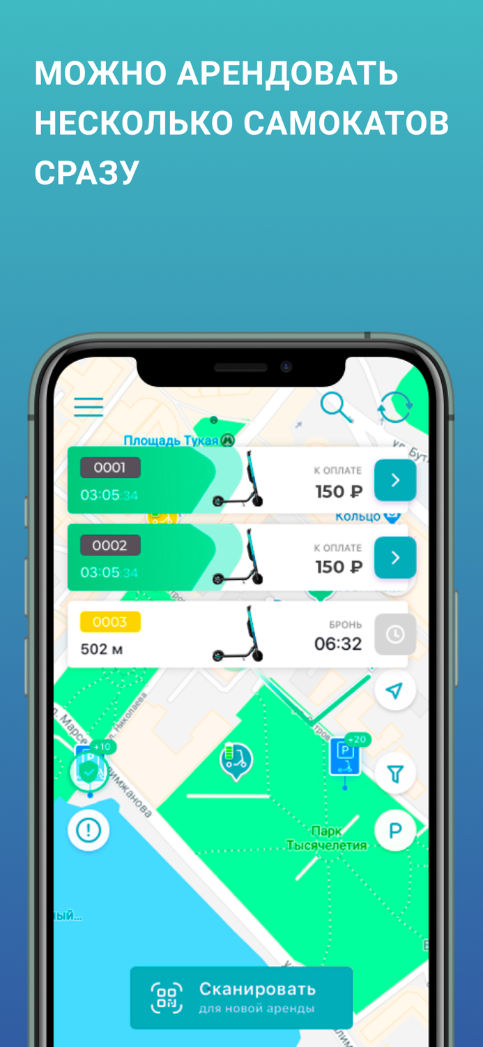 Seagull - ride with pleasure