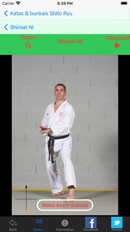 KARATE SHITO-RYU1 screenshot-6
