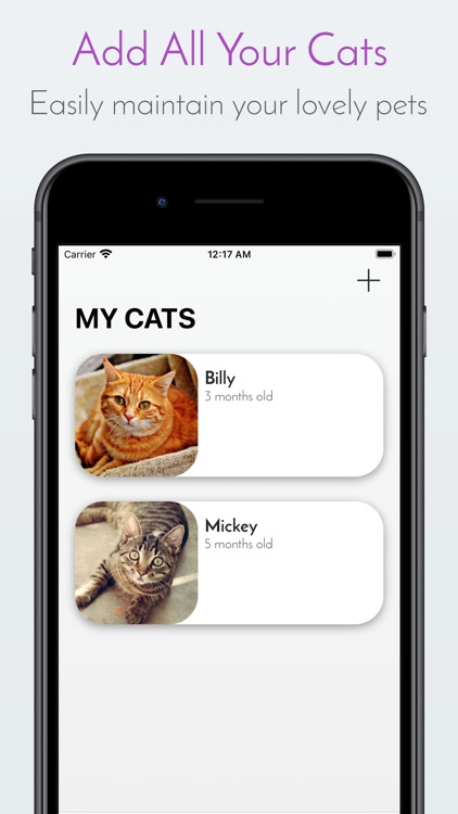 Kitty App - Care my Cat