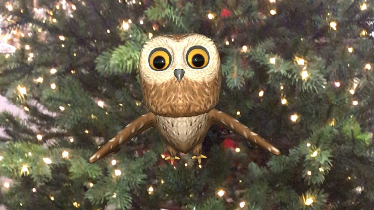 Rocky Owl AR screenshot-3