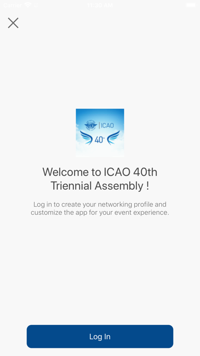 ICAO A40 screenshot 3