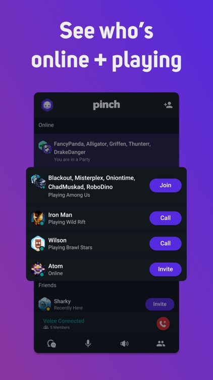 Pinch - Voice Chat for Gamers