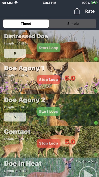 Roe Deer Calls