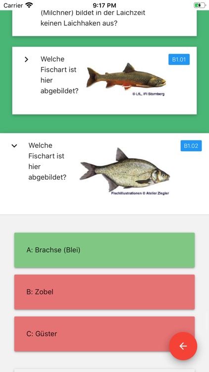 Fischerprüfung 2020 Bayern