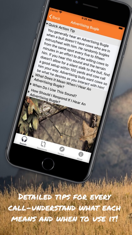 ElkNut screenshot-3