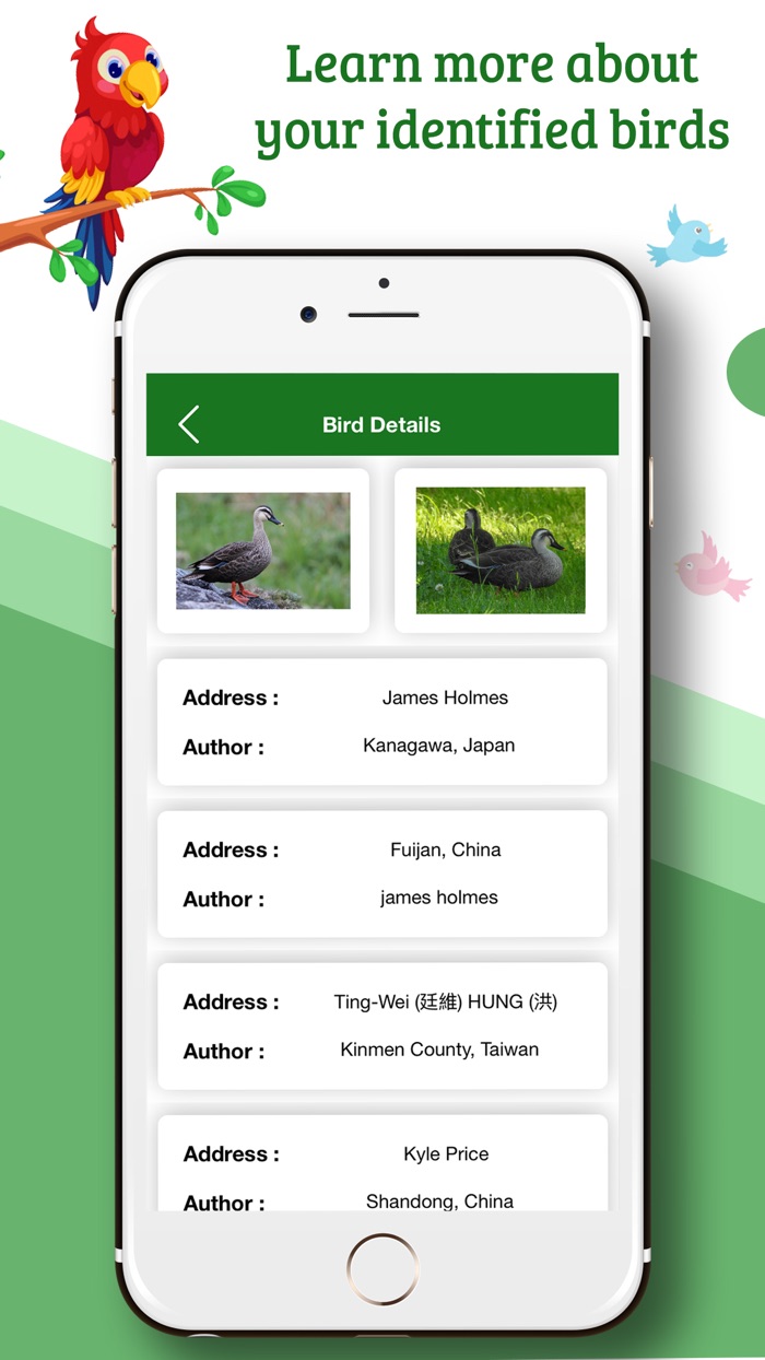 Bird Identifier by Name