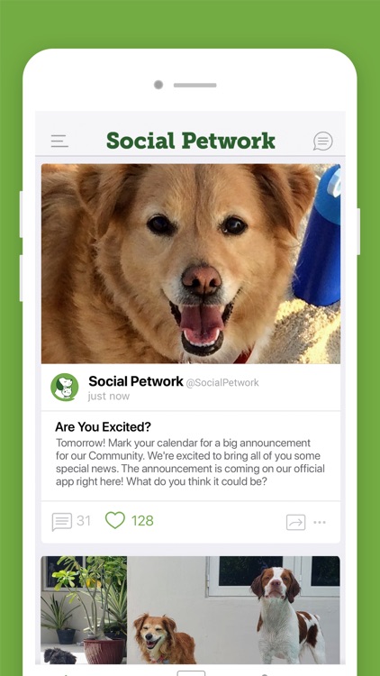 Social Petwork