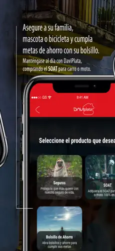Screenshot 3 DaviPlata iphone