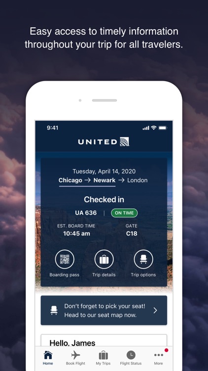 United Airlines