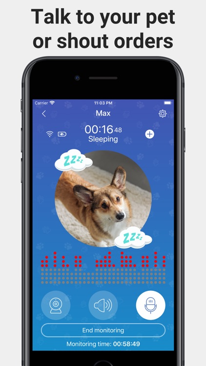 Dog Monitor & Pet Camera Annie