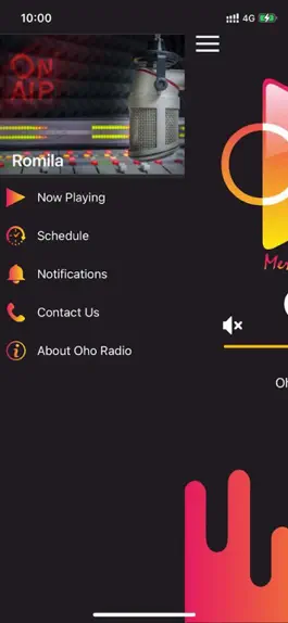 Game screenshot Oho Radio apk