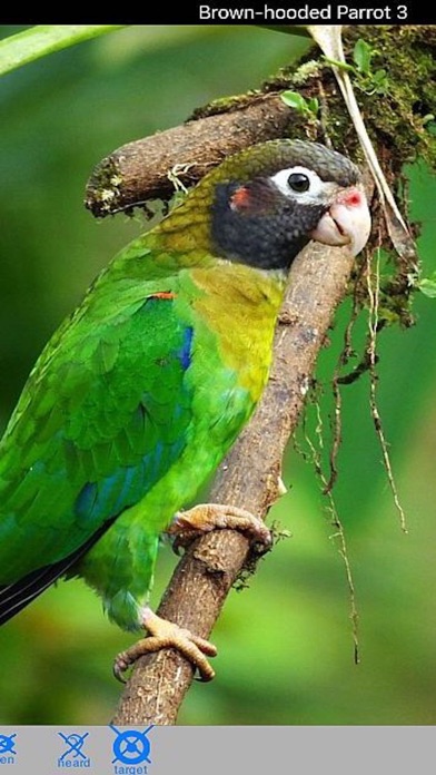 How to cancel & delete Costa Rica Birds from iphone & ipad 2