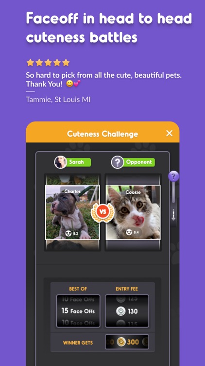 Pet Parade Cutest Dogs vs Cats screenshot-3