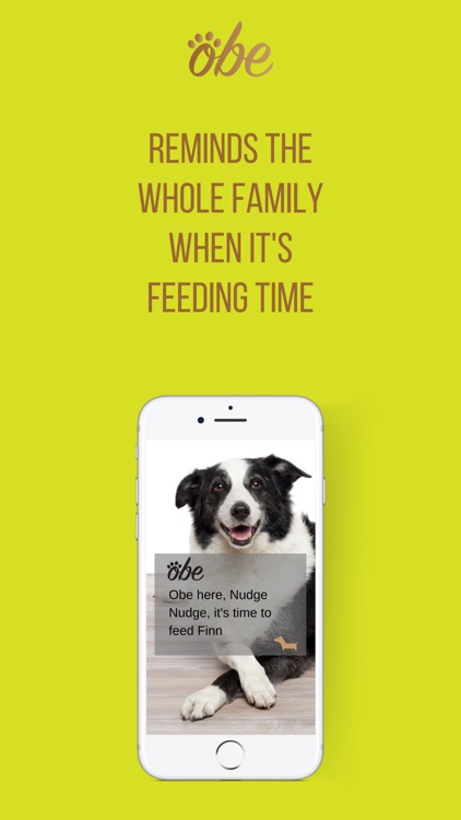 Obe Digital Dog Wellness screenshot-7