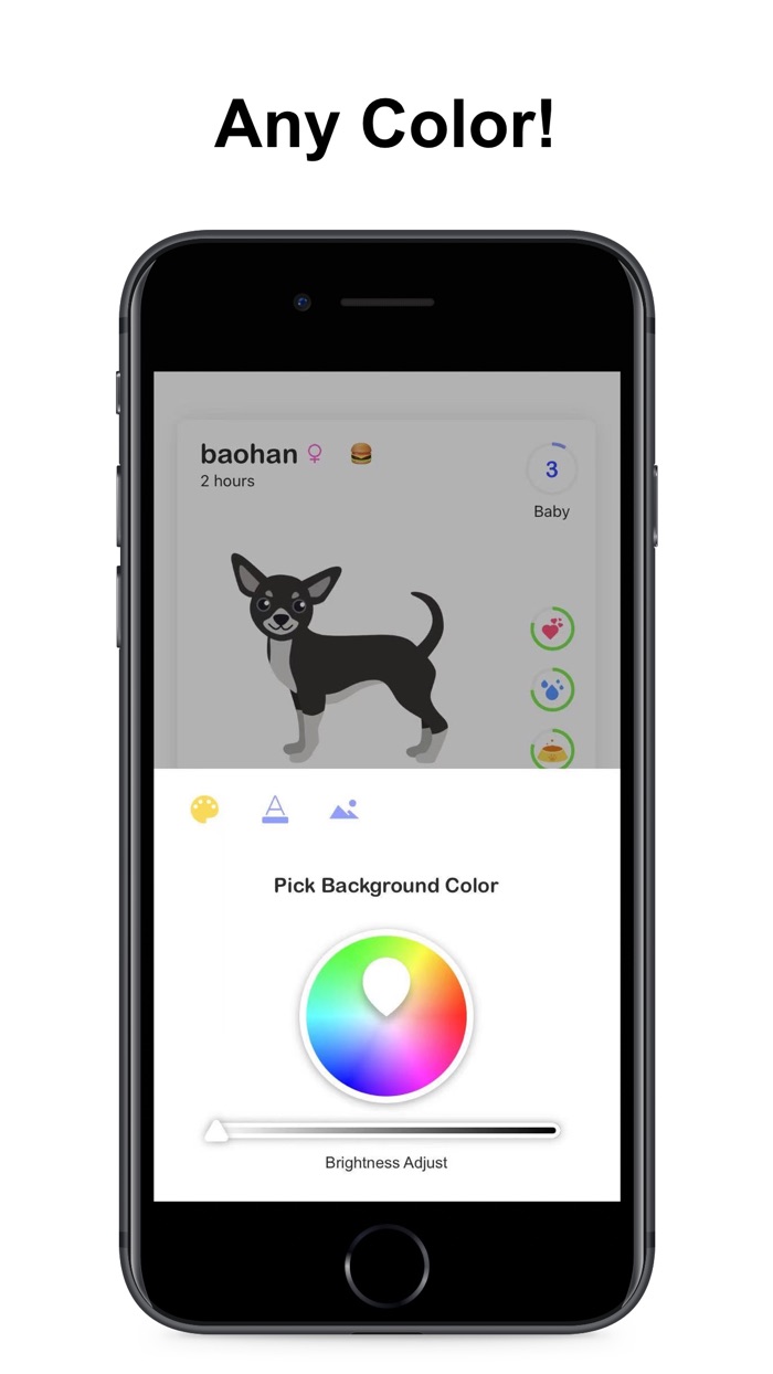 PetWidget - Widget Game