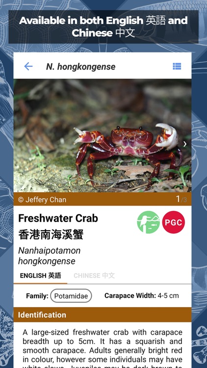 Freshwater Species: Hong Kong