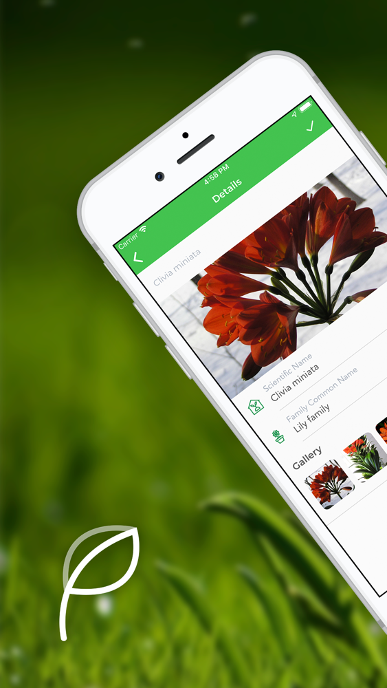 Plant+Identification App for iPhone - Free Download Plant ...