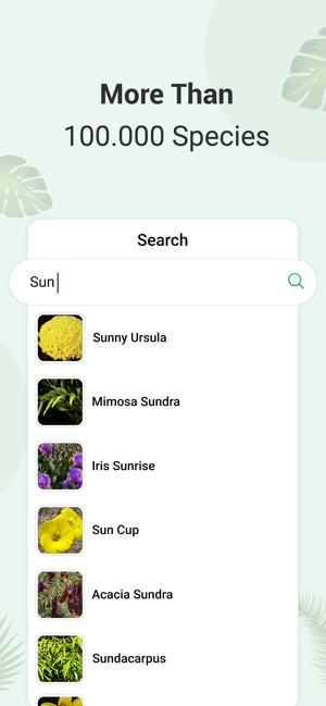 Plant:identification & info(圖4)-速報App