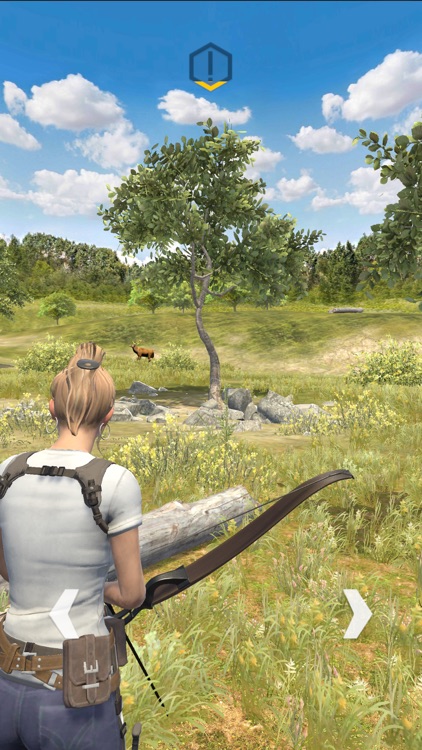 Archery Hunting screenshot-8