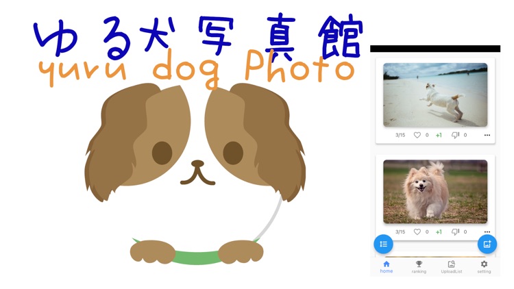 yuru Dog Photo