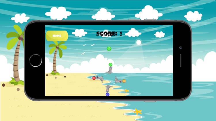 SEAL CATCH-BALL screenshot-3